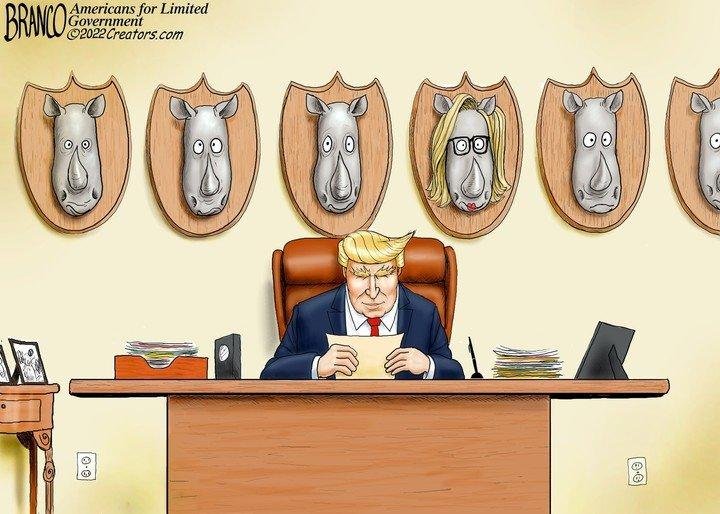 AS I GLANCED AT THE CARTOON AT THE END OF THE PAGE, I MUST ADMIT THAT I WASN'T EXPECTING THIS...
BRANCO IS GOOD!!!