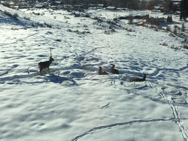 They love the view