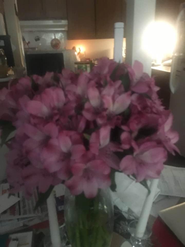 Flowers from my daughter still looking beautiful after nine dsys
