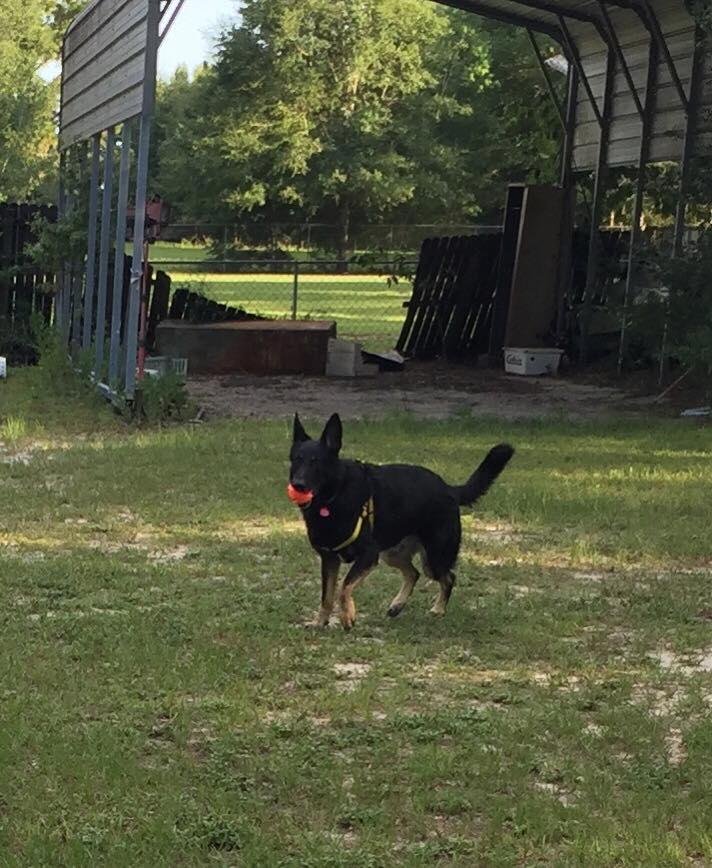 He is 7or8 years old and his name is Reo (I changed his name to protect the innocent 😛😛