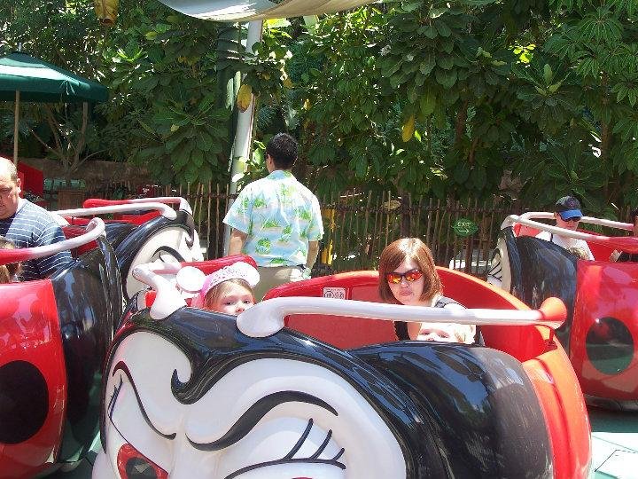 William Bailey's album, trip to disneyland 2010