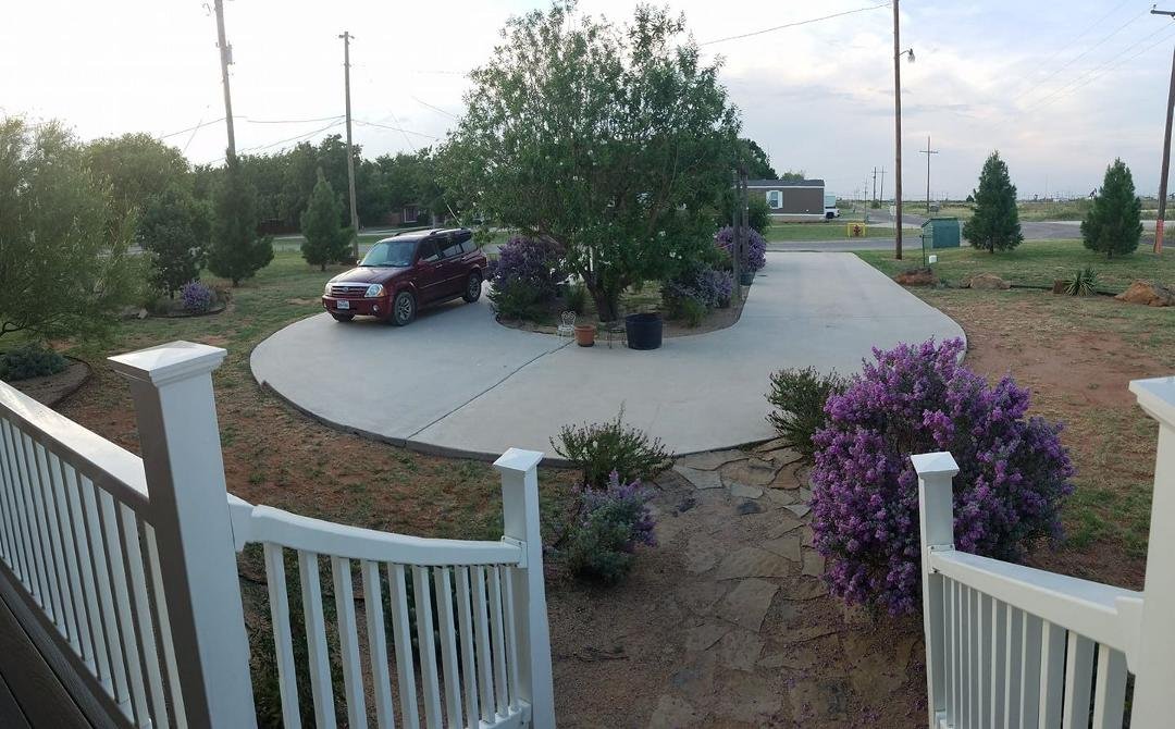Most all the sage are in full bloom