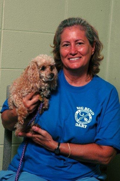 James Needham's album, Pet Blessing 2007