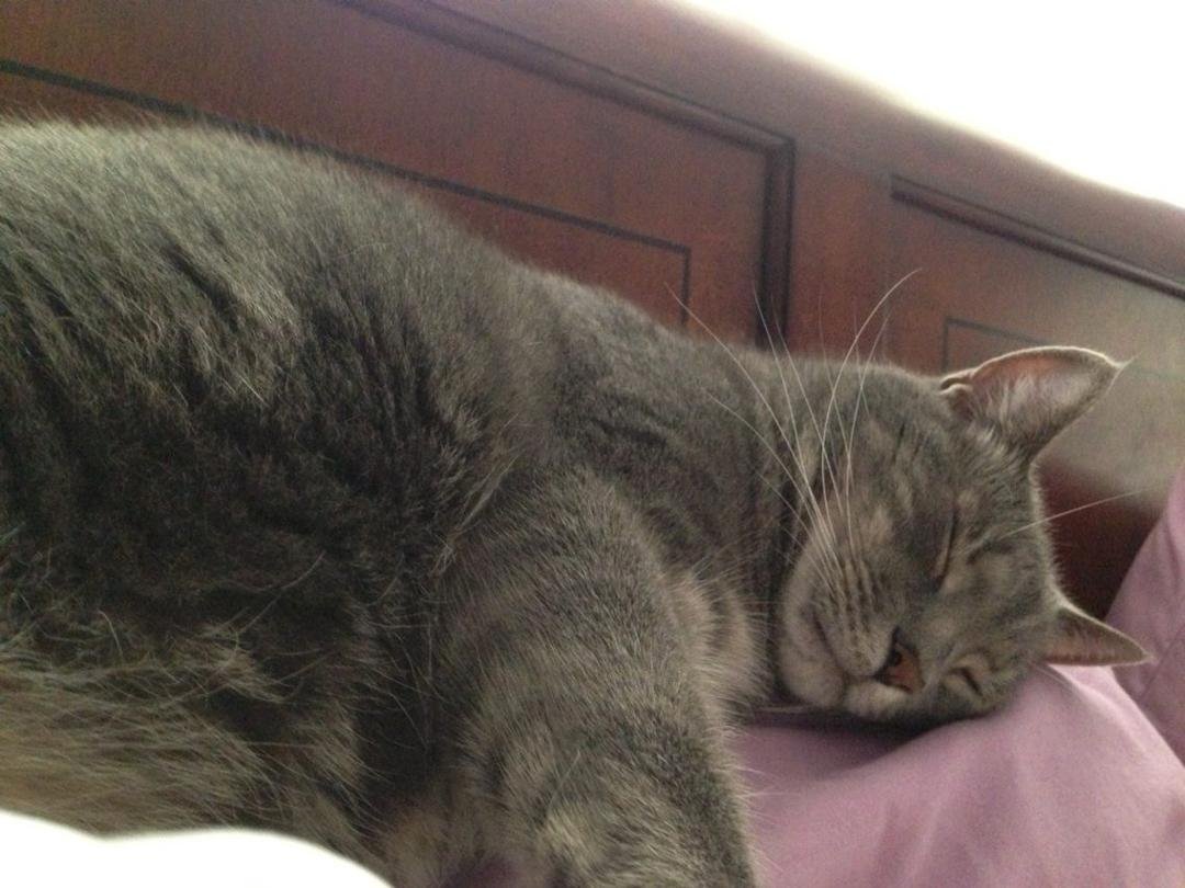 This is what I wake up to:-)