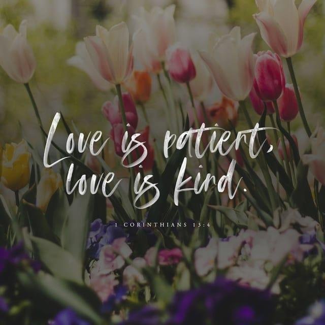 Donna Maxwell's album, Timeline Photos