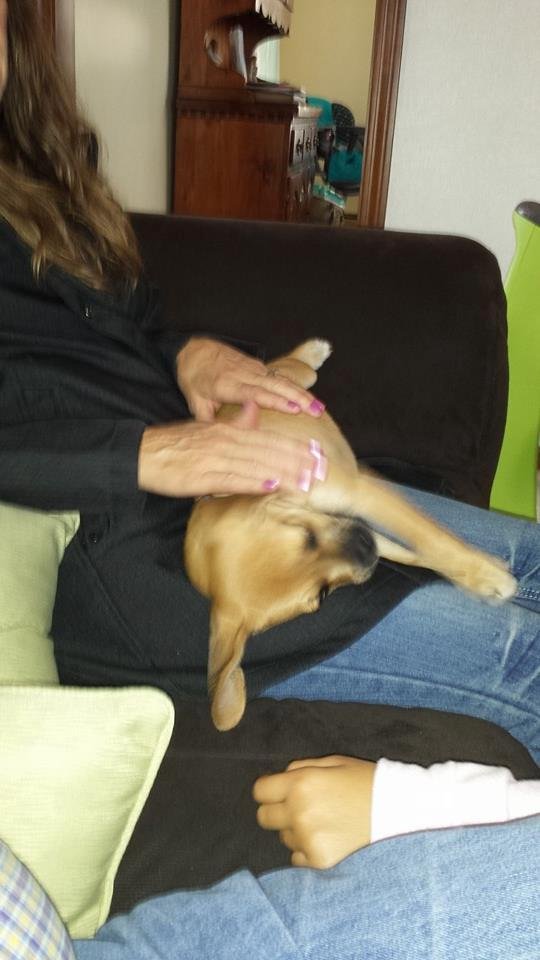 What are you doing to this pup, Anna Bradshaw? LOL!