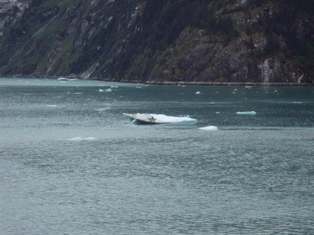 Ice from the glacier