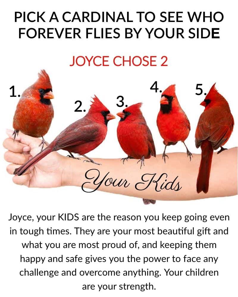 Joyce Soluri's album, Timeline photos