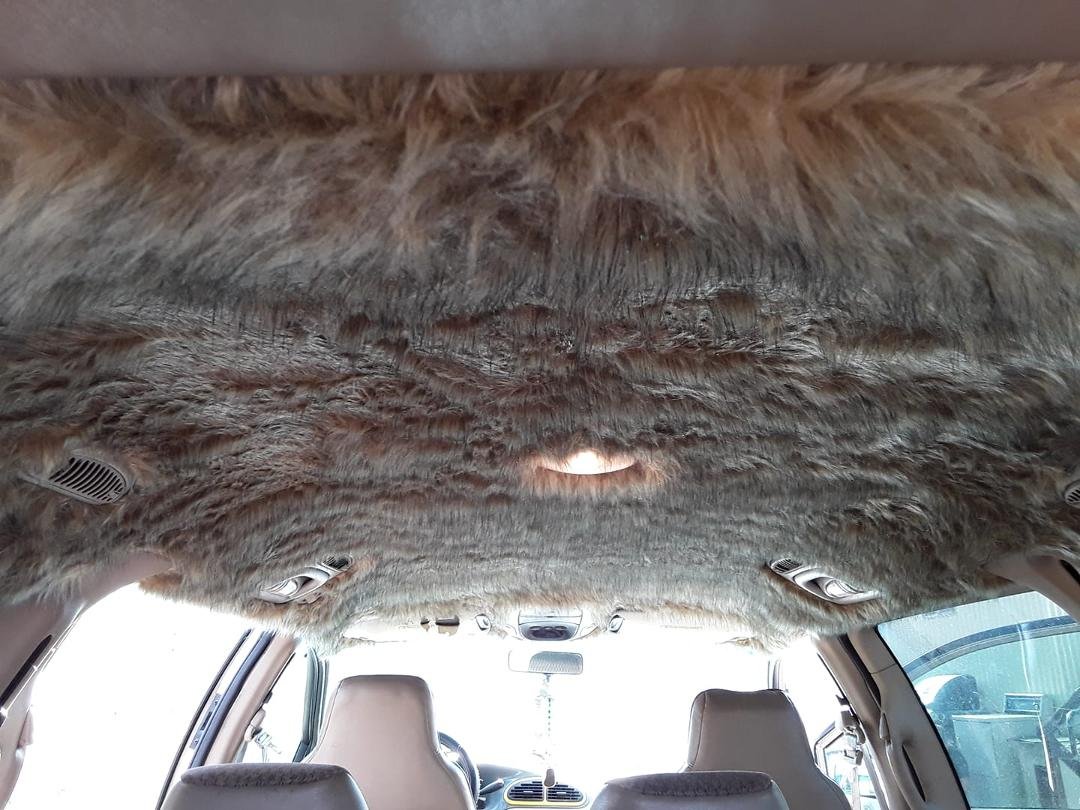 Just finished doing the headliner of slave 1 with Wookie fur