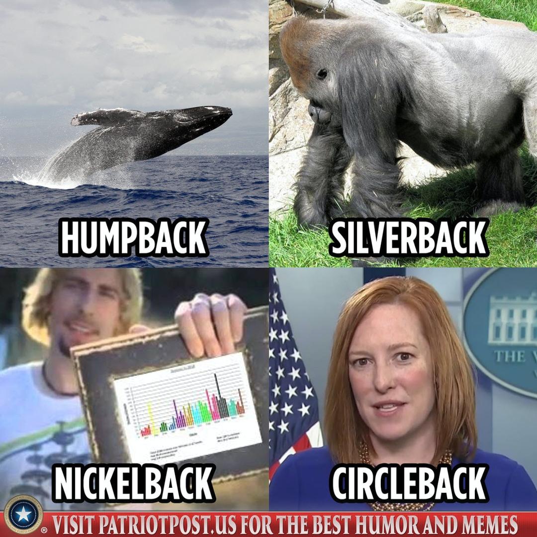 Meme of the Day.