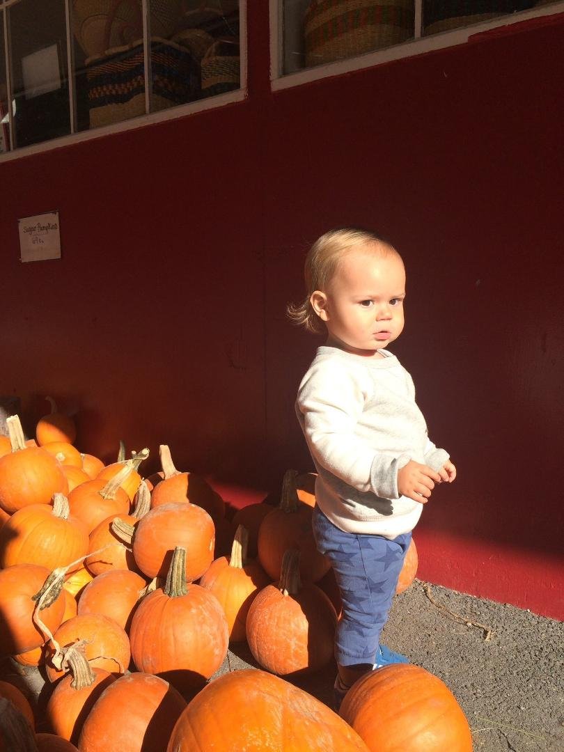 I think I see the perfect pumpkin!  Fun day at Salinger's Orchard with Mom, Dad and Aunt Nancy.