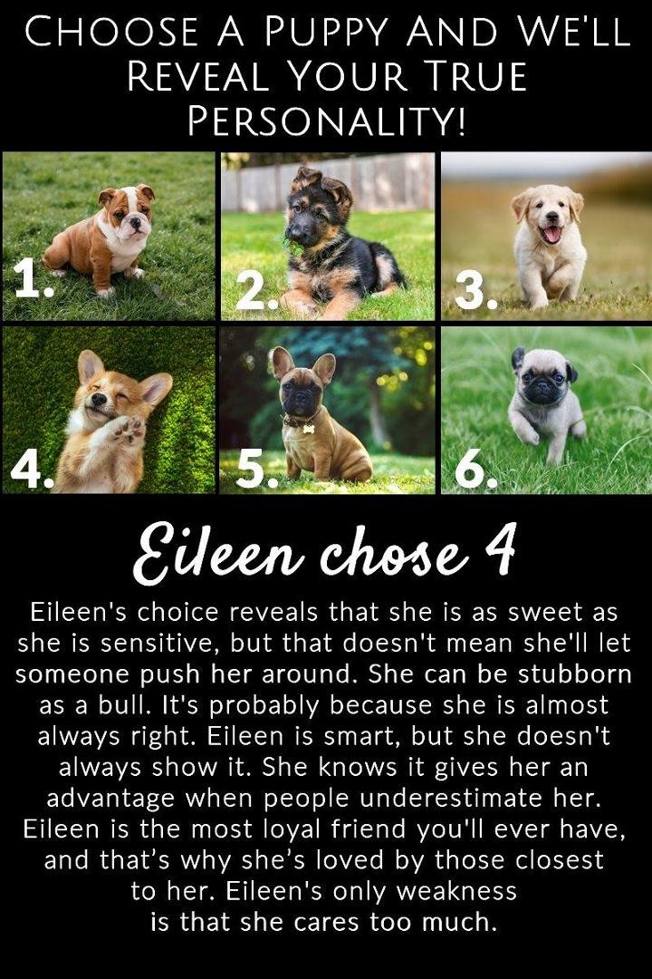 Eileen Tant's album, Mobile Uploads