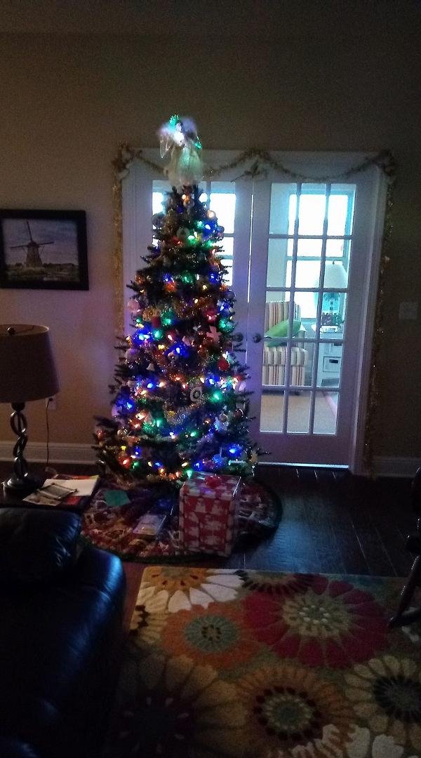 A tree grows in Alabama