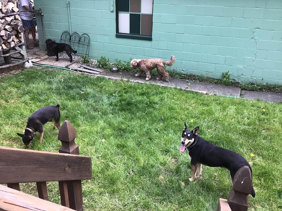 Fun in the sun before the rain