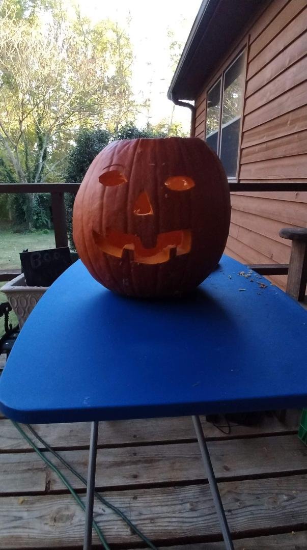 Terry Deusterman's album, Timeline Photos