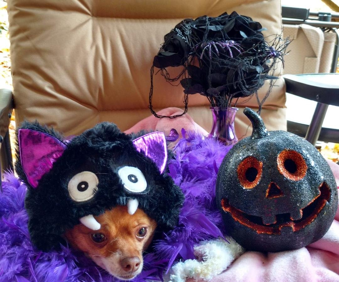 Happy Belated Halloween from my little girl Amanda