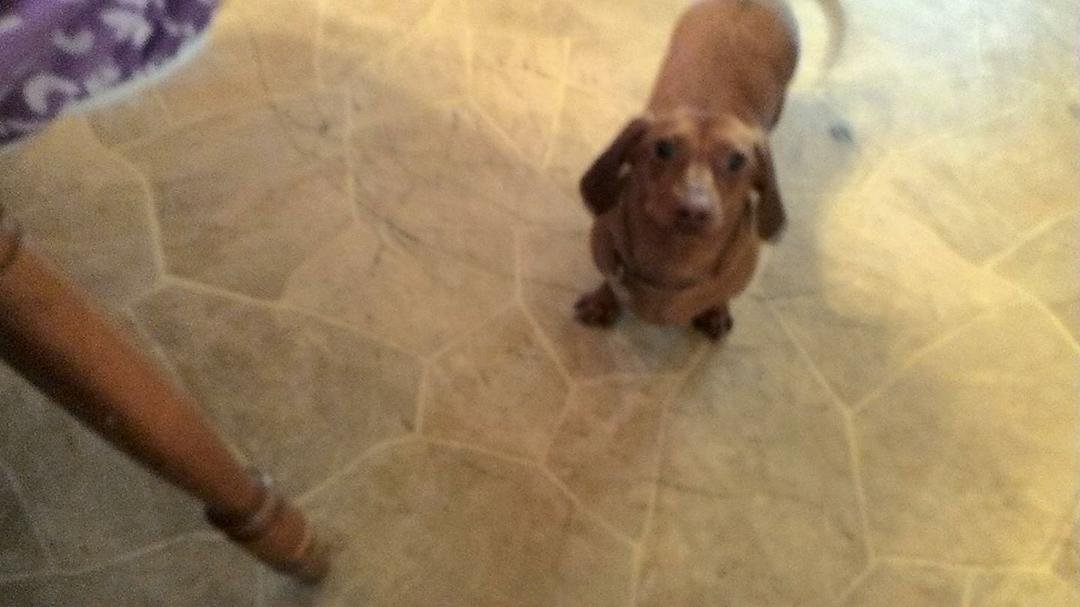 My sweet baby girl Jenny