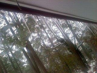 icicles