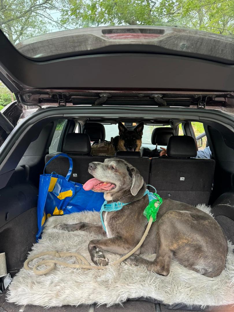 Beach bound