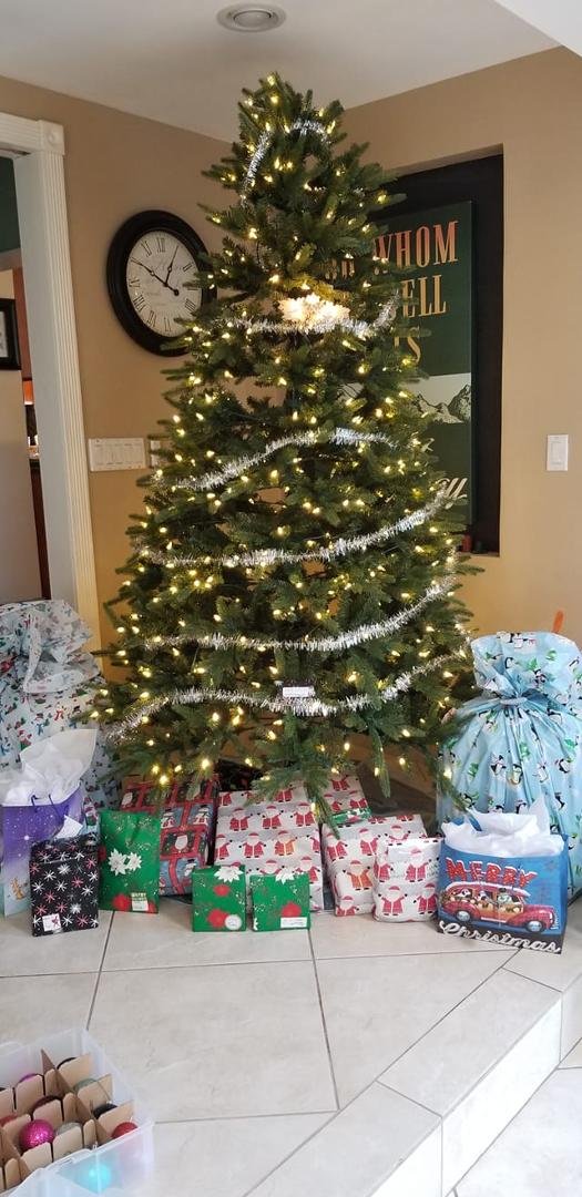 Merry Christmas to all our family and friends near and far from Dottie, Karin, Courtney and Bella. It's the most unusual day but we can get through with all together but at least six feet apart. Love you all. 🎄❤🐶
