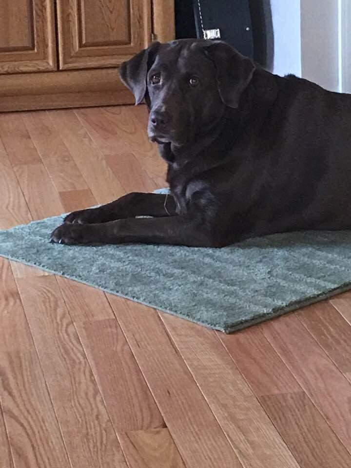 Did someone say “walk”?