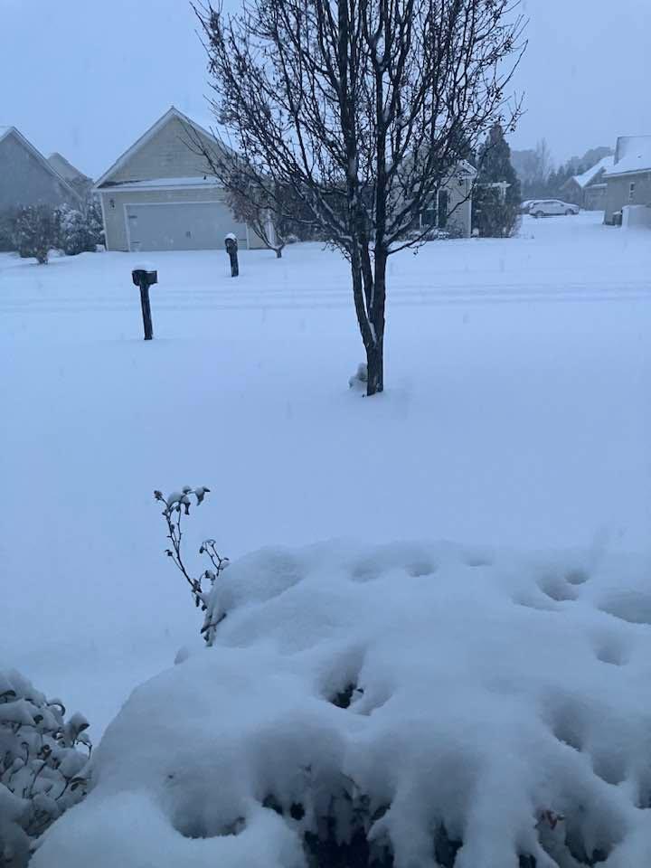 Home sweet home! My North Carolina welcome home from Hawaii! 