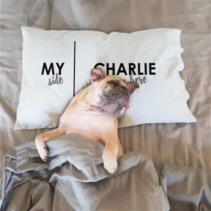 Pug pillow