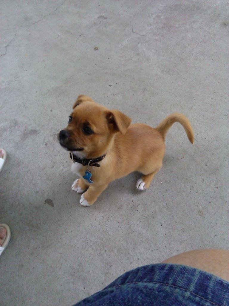 Abby
