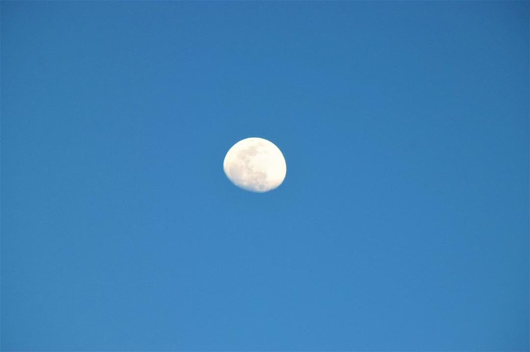 It was such a pretty day that the moon had to come out and see it!!