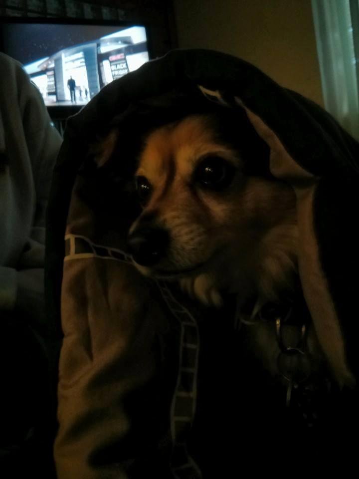 Look at Toby he is acting like Luke Skywalker