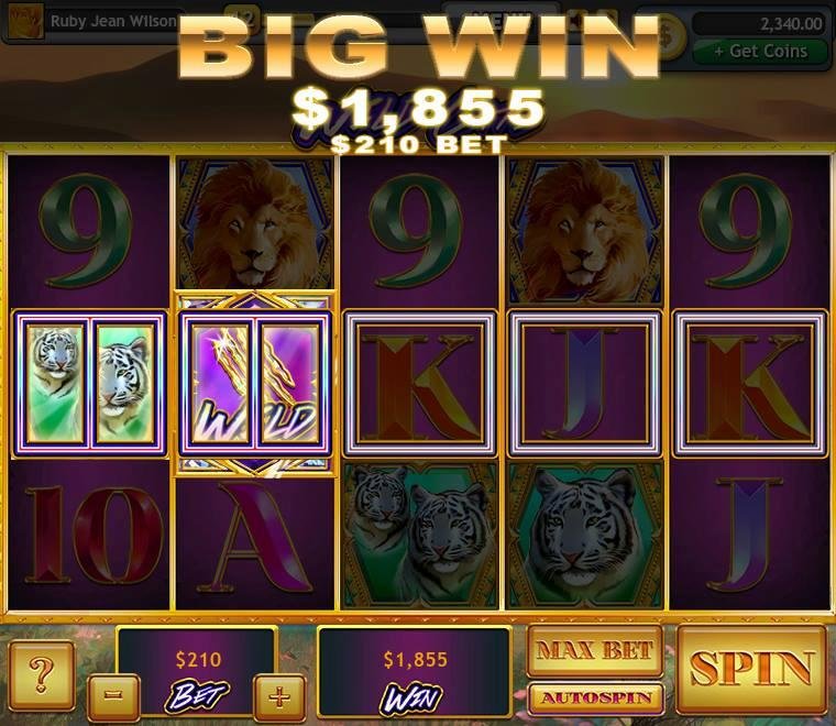 Ruby J Wilson's album, Lucky Slots Photos