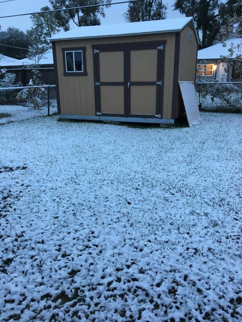 the shed out back in the snow;)