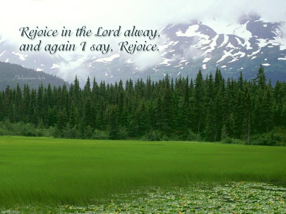 Richard Jones' album, Timeline Photos