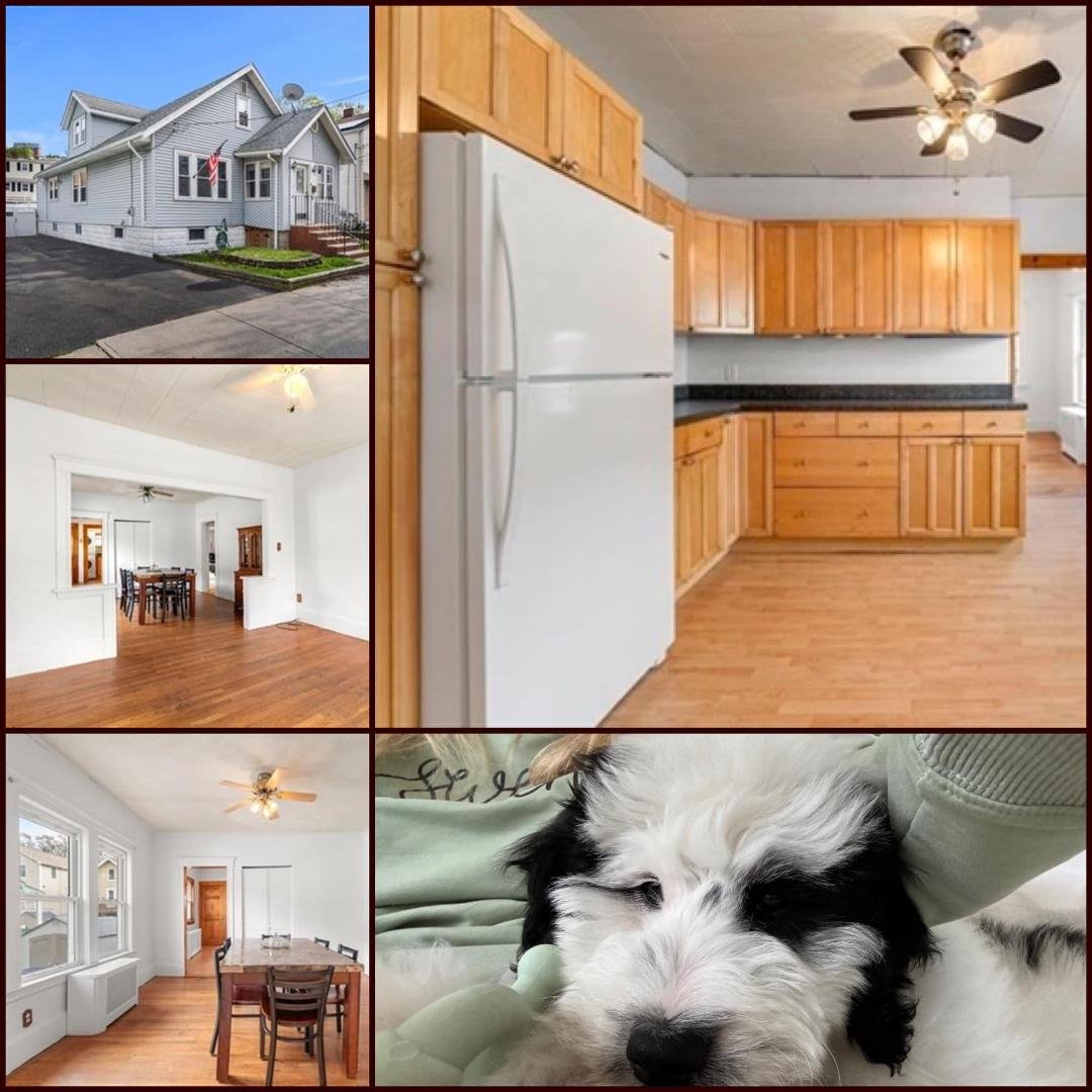 Elliott Loves Everett🐶
Looking to live near Boston, Cambridge or Somerville😉
14 Clarence Street - Everett is a great choice!
3 bedroom, 1 🛀 bath, hardwd flrs, private yard, patio & deck.
This is the total package 📦 
Als