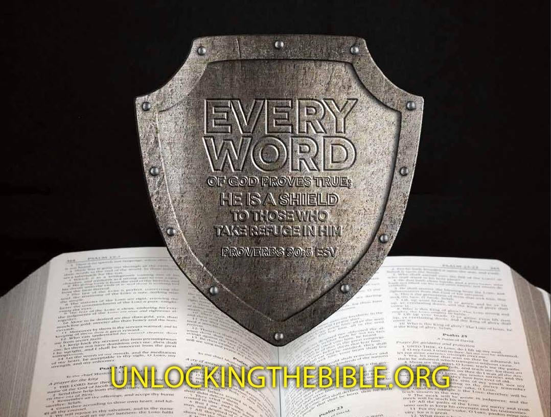 Proverbs 30:5 KJV Every word of God is pure: he is a shield unto them that put their trust in him.