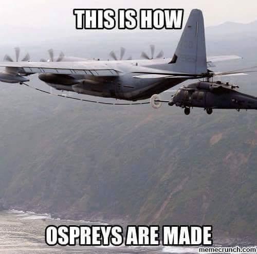 Lol