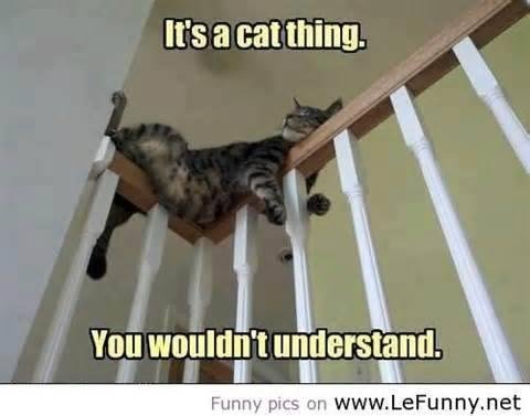 Jacki Russell's album, Timeline Photos