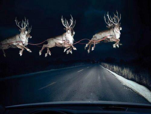 So, there I was, out driving around to see houses all lit up, and then, BAM!! Out of nowhere!! :O