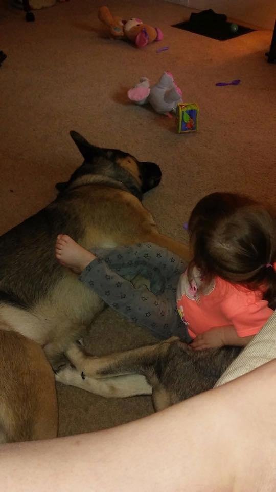 She is just like me. We love our loyal fur babies.