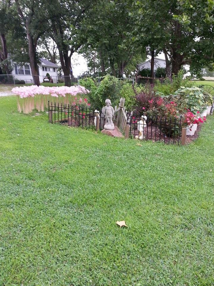My flower garden. Look at all the pink tall flowers