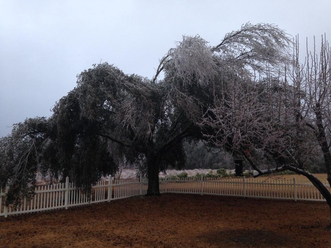 David Logan's album, Timeline Photos