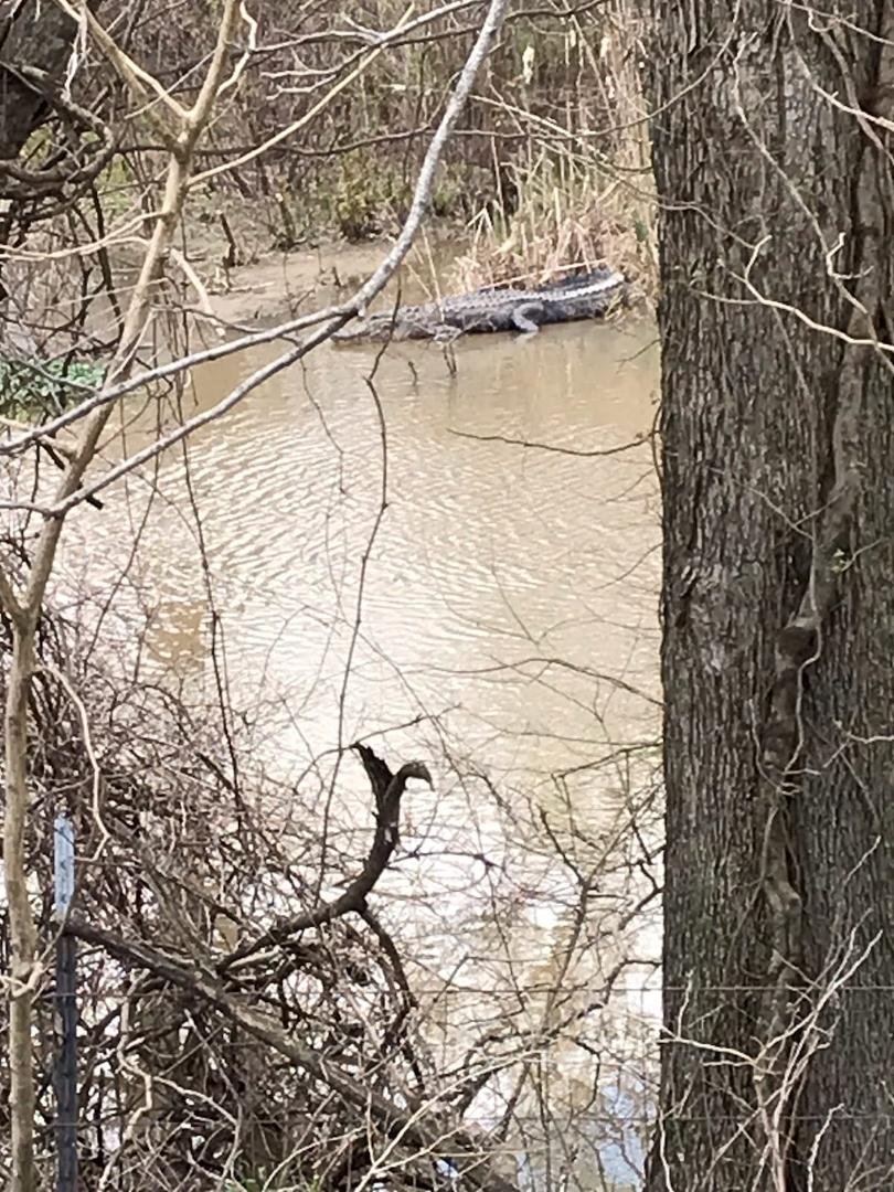 It's been 1 mo TV since I changed jobs. Liking working g with the railroad test tracks. I am done in Louisiana right and this is what I saw the first day down here