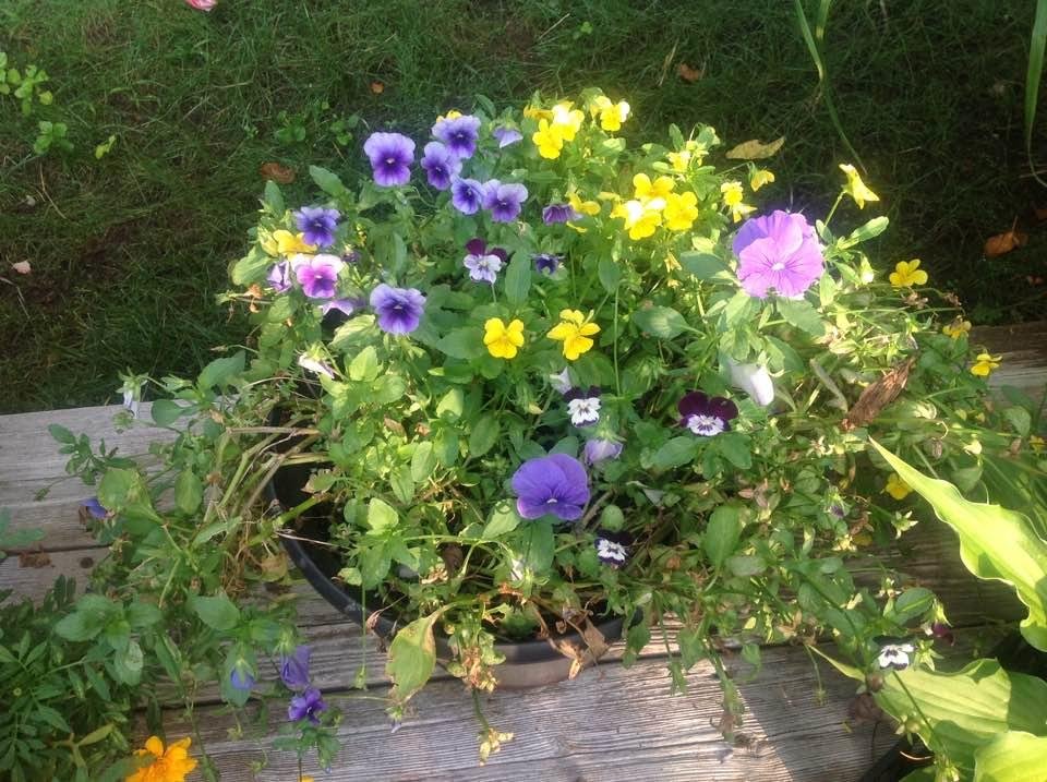 James Oitzinger's album, Timeline Photos