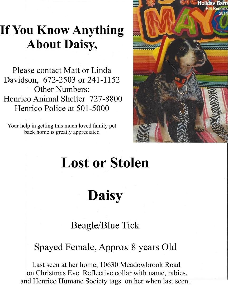 Many thanks for all the supportive comments. We continue to look for Daisy and hope she is safe. Spent the day putting up more flyers and exploring a wooded area where someone heard a dog barking. Since there haven't been a