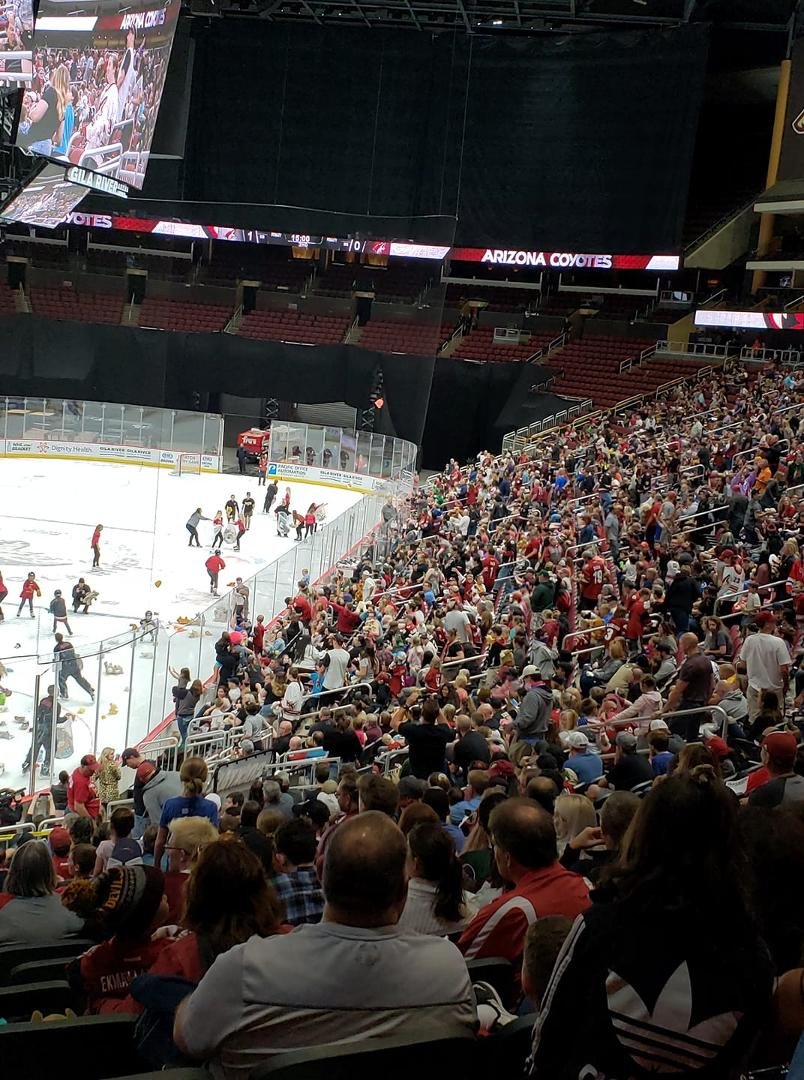 Nice crowd tonight at the Coyotes Red and White game.