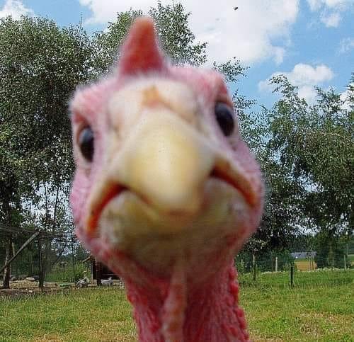 What's so happy about it?