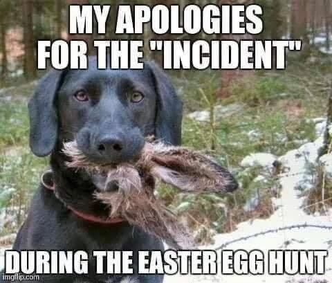 Whoops!