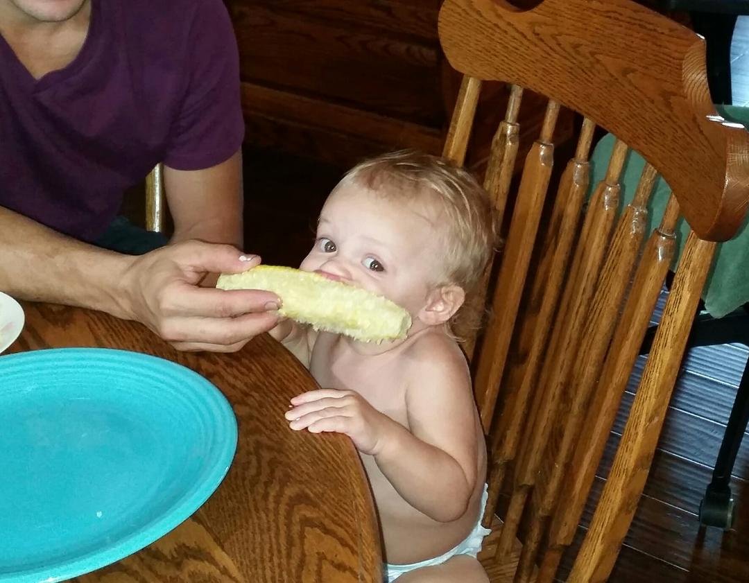 Hasley's first ear of corn! #cornhuskers