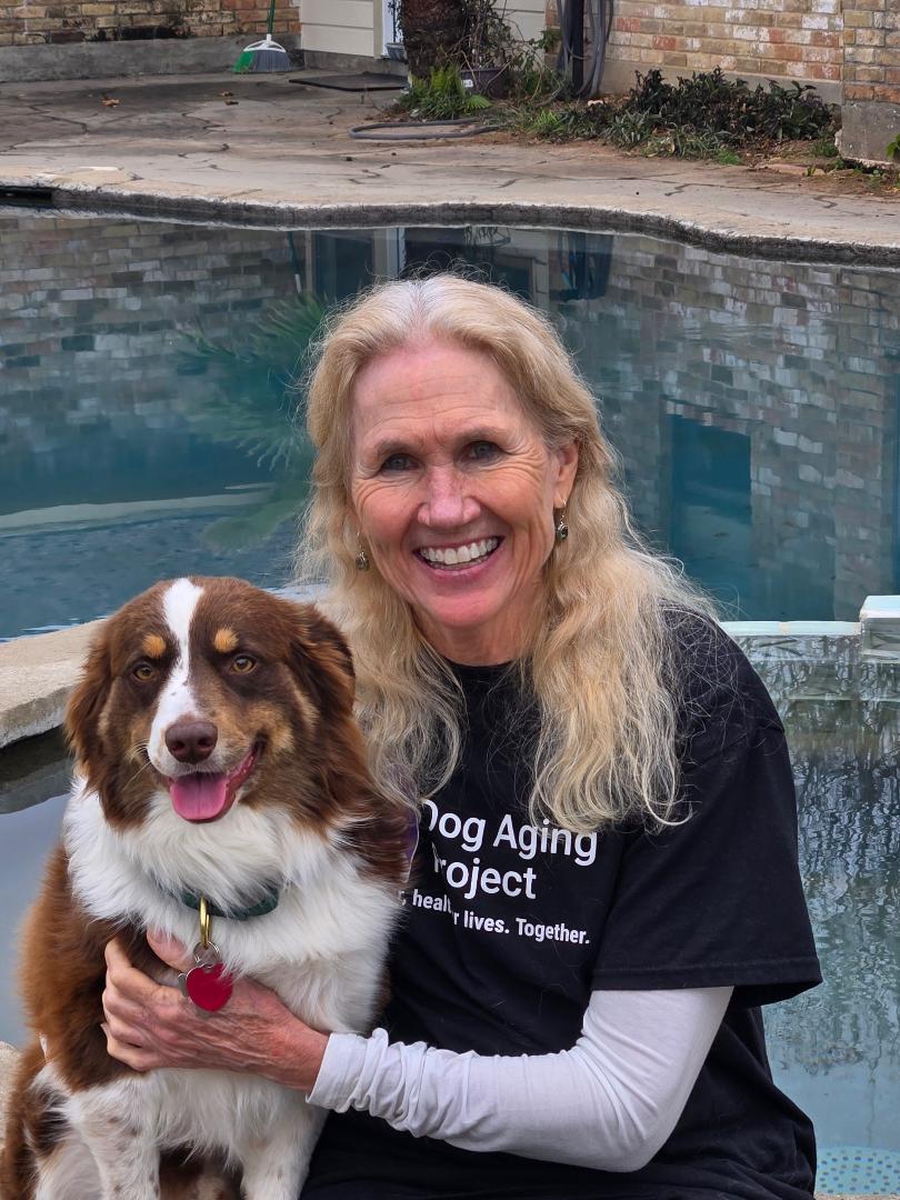 Let me introduce Roscoe! I was fortunate to find another sweet Aussie from South Texas Aussie Rescue (STAR). Cooper came to me from STAR and he was a treasure. He lived a long, happy life and passed away last August. Fast f