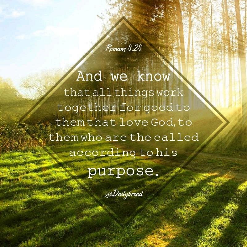 Laurie Becker's album, Timeline Photos